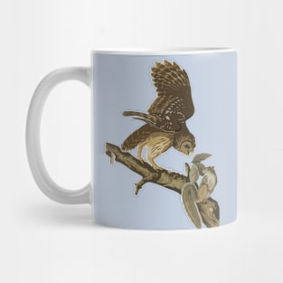 Owl on Branch Mug